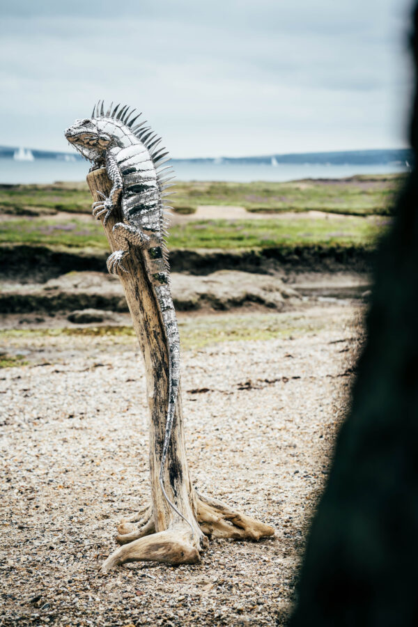 Stainless Steel Iguana garden sculpture on driftwood